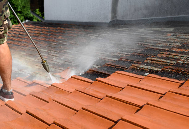 Best Exterior Home Cleaning  in Riverwoods, IL